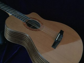 Taylor Jason Mraz Nylon-string Acoustic