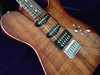 Tom Anderson Hollow Drop T Rosewood and Koa